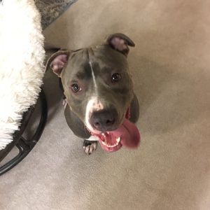 Meet your Posher, Emma